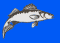 FISH-TON