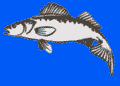 FISH-TON